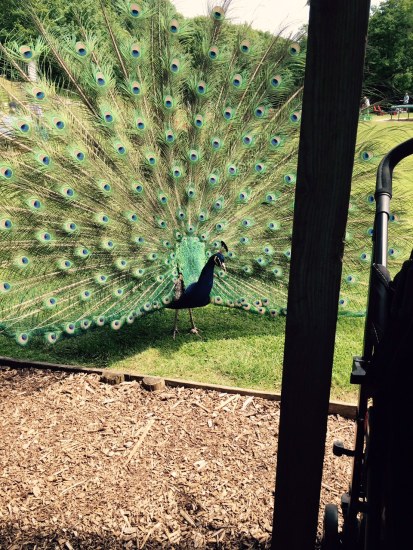 No-one likes a show-off.